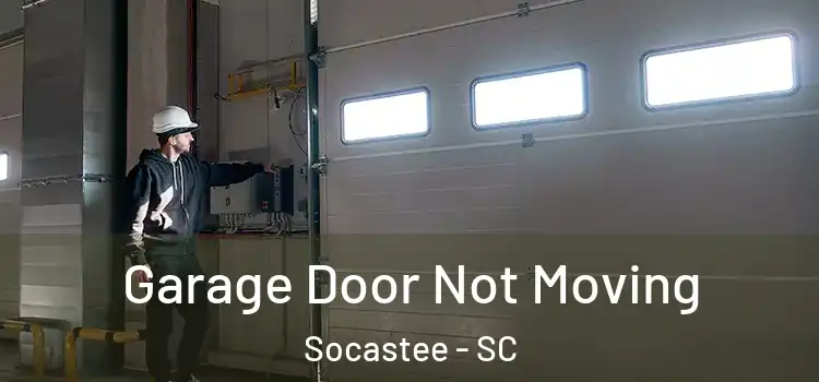 Garage Door Not Moving Socastee - SC