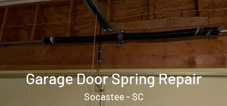  Garage Door Spring Repair Socastee - SC